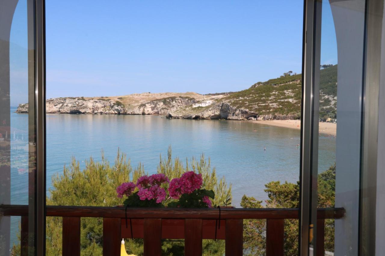 Albergo"Villa Biscotti" Пескичи Экстерьер фото